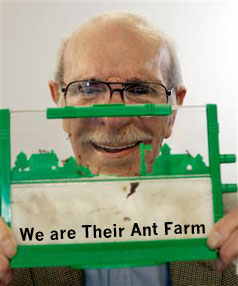 antfarm1.jpg