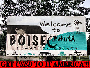 Boise-China.jpg