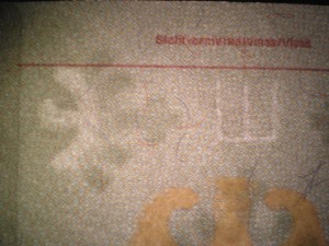 Satanic RFID Chip next to water sign German ID.jpg