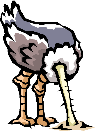 ostrich