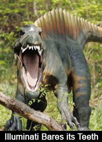 teeth1.jpg
