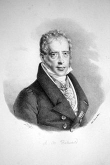 Anselm_Salomon_Rothschild (1).jpg