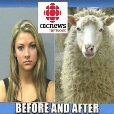 cbc-news.jpg