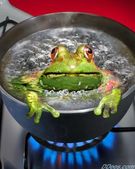 dees-frog.jpg