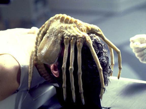 face-hugger.jpg