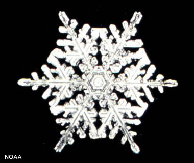 snowflake (1).jpg