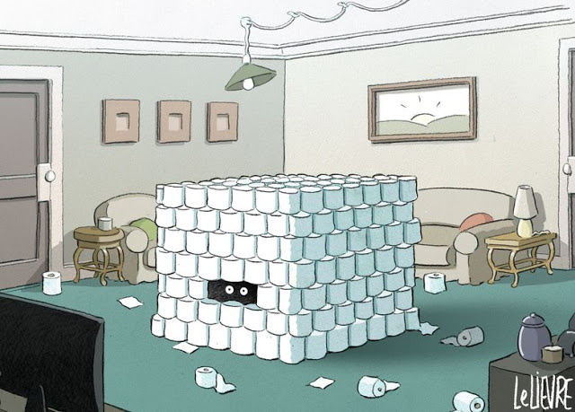 toilet-paper-fortress.JPG