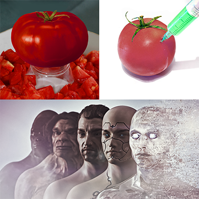 tomato.png