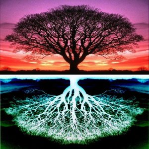 treeoflife.jpg