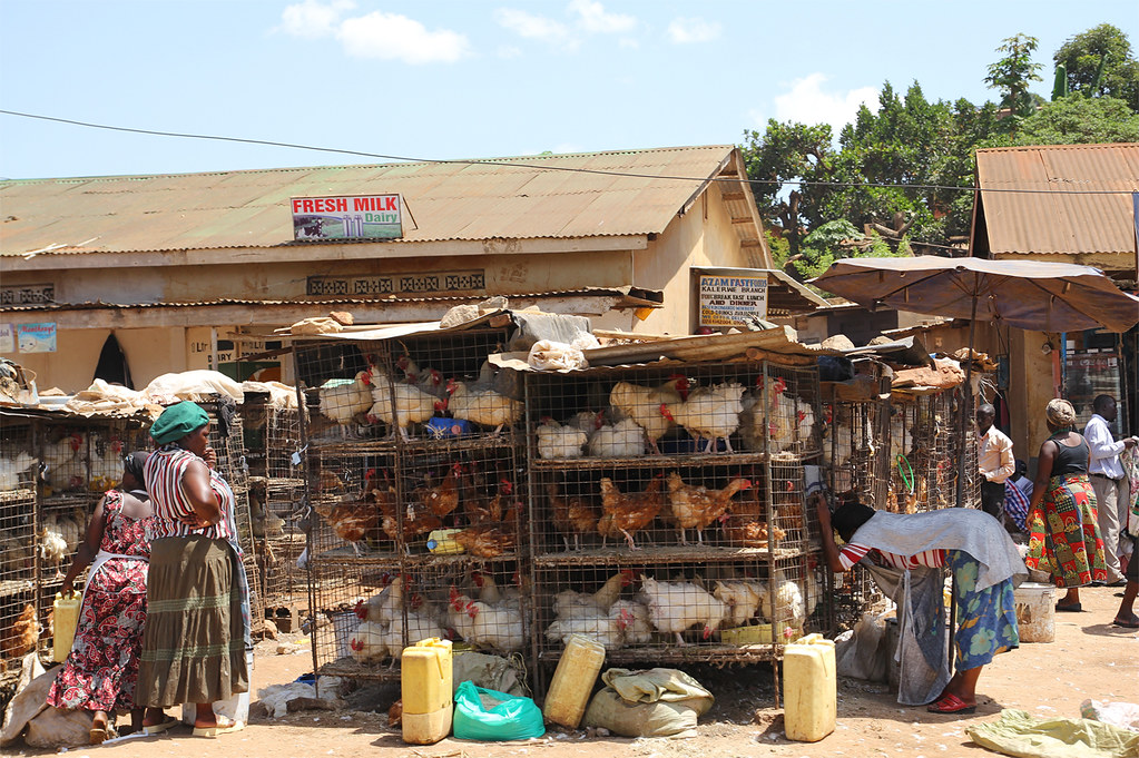 uganda-informal-economy-coronavirus-covid19.jpg