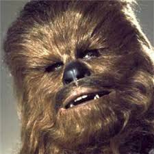 wookie1.jpeg